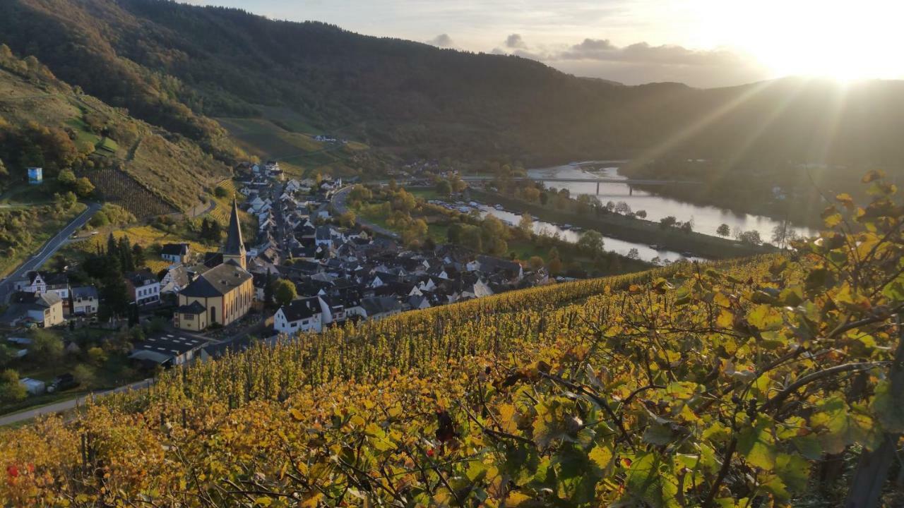 Haus Madle Apartment Cochem Exterior photo